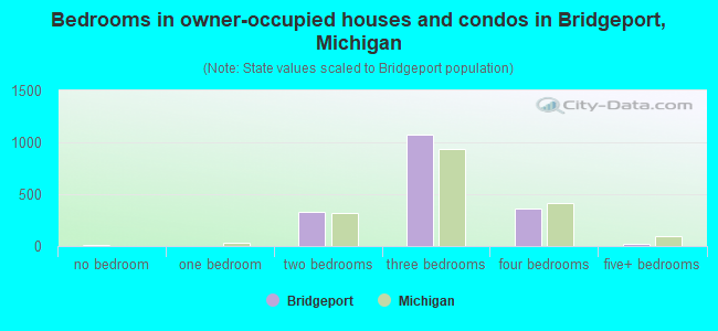 Bedrooms in owner-occupied houses and condos in Bridgeport, Michigan