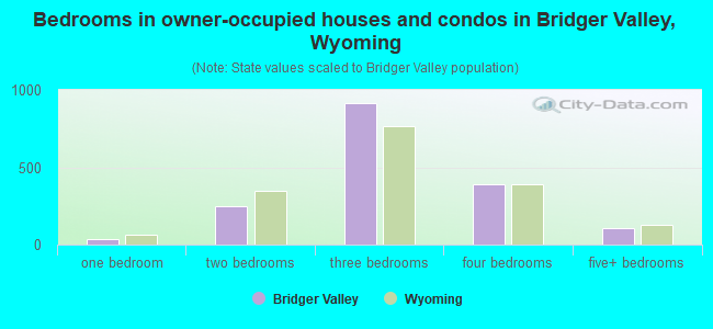 Bedrooms in owner-occupied houses and condos in Bridger Valley, Wyoming