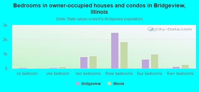 Bedrooms in owner-occupied houses and condos in Bridgeview, Illinois