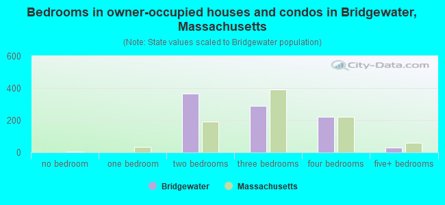 Bedrooms in owner-occupied houses and condos in Bridgewater, Massachusetts