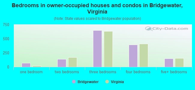 Bedrooms in owner-occupied houses and condos in Bridgewater, Virginia