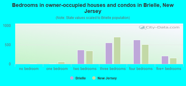 Bedrooms in owner-occupied houses and condos in Brielle, New Jersey