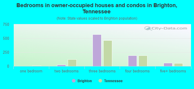 Bedrooms in owner-occupied houses and condos in Brighton, Tennessee
