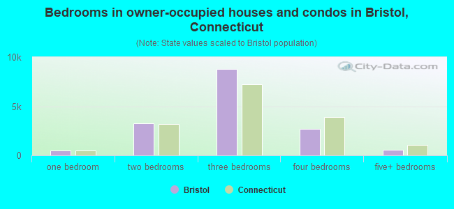 Bedrooms in owner-occupied houses and condos in Bristol, Connecticut