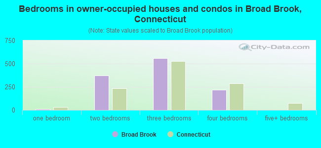 Bedrooms in owner-occupied houses and condos in Broad Brook, Connecticut