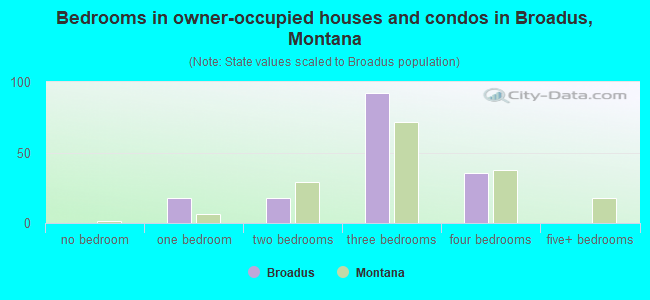 Bedrooms in owner-occupied houses and condos in Broadus, Montana
