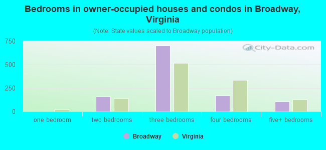 Bedrooms in owner-occupied houses and condos in Broadway, Virginia