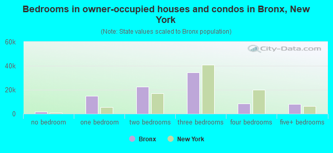 Bedrooms in owner-occupied houses and condos in Bronx, New York
