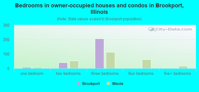 Bedrooms in owner-occupied houses and condos in Brookport, Illinois