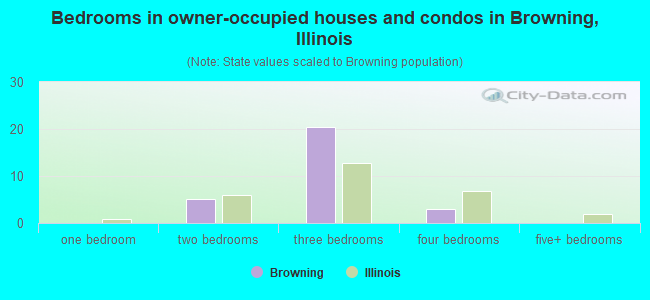 Bedrooms in owner-occupied houses and condos in Browning, Illinois