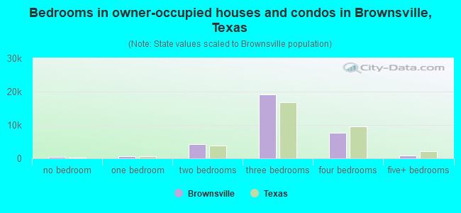 Bedrooms in owner-occupied houses and condos in Brownsville, Texas