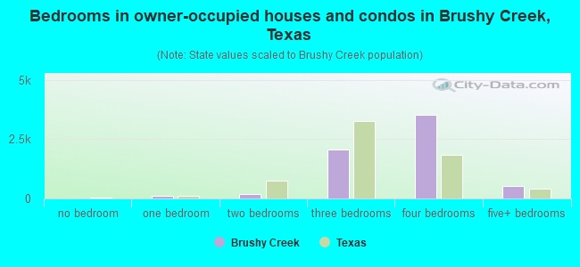 Bedrooms in owner-occupied houses and condos in Brushy Creek, Texas