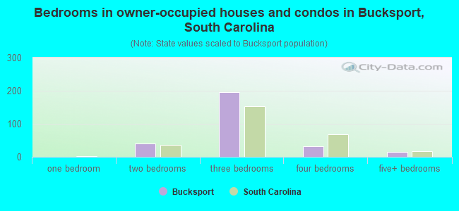 Bedrooms in owner-occupied houses and condos in Bucksport, South Carolina