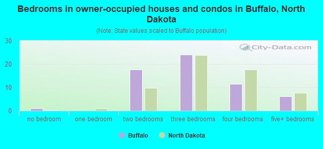 Bedrooms in owner-occupied houses and condos in Buffalo, North Dakota