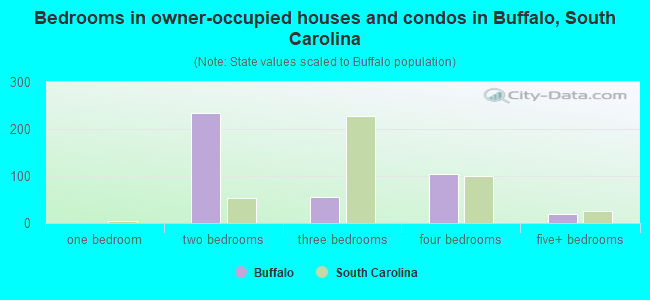 Bedrooms in owner-occupied houses and condos in Buffalo, South Carolina