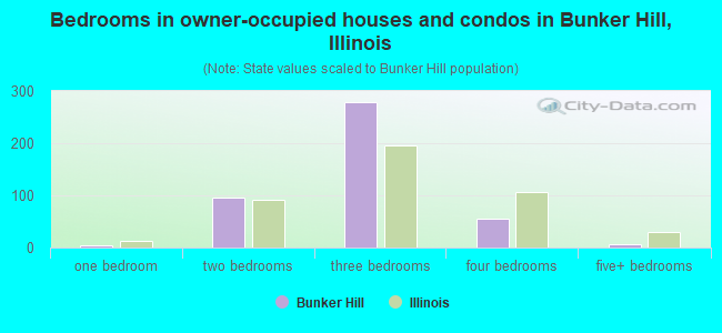 Bedrooms in owner-occupied houses and condos in Bunker Hill, Illinois