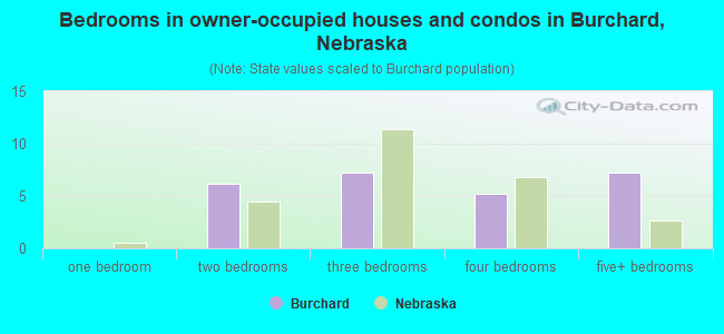 Bedrooms in owner-occupied houses and condos in Burchard, Nebraska