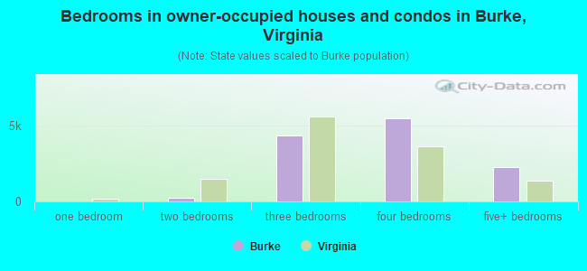 Bedrooms in owner-occupied houses and condos in Burke, Virginia
