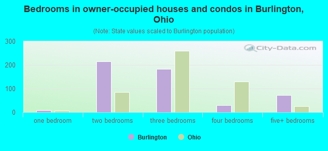 Bedrooms in owner-occupied houses and condos in Burlington, Ohio