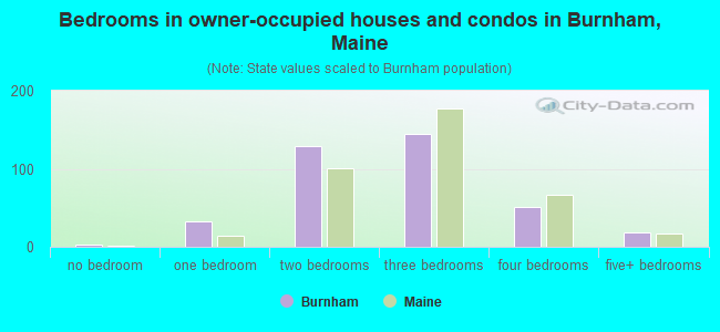 Bedrooms in owner-occupied houses and condos in Burnham, Maine