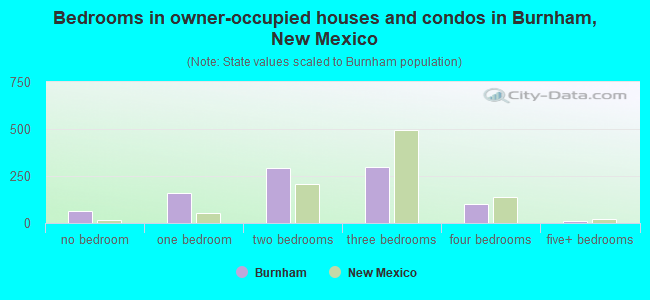 Bedrooms in owner-occupied houses and condos in Burnham, New Mexico