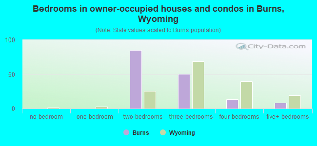 Bedrooms in owner-occupied houses and condos in Burns, Wyoming