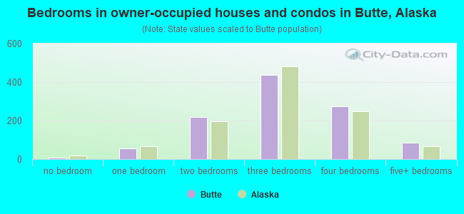 Bedrooms in owner-occupied houses and condos in Butte, Alaska