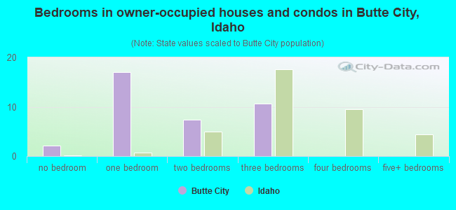 Bedrooms in owner-occupied houses and condos in Butte City, Idaho