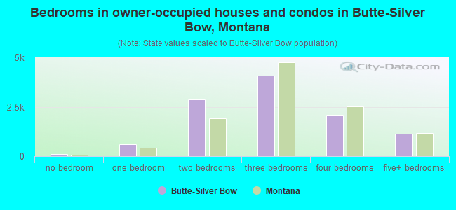 Bedrooms in owner-occupied houses and condos in Butte-Silver Bow, Montana