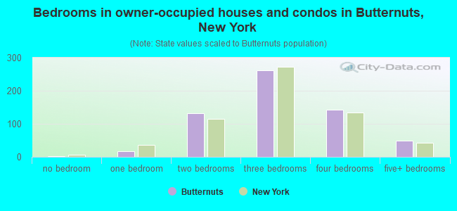Bedrooms in owner-occupied houses and condos in Butternuts, New York