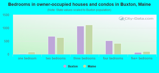Bedrooms in owner-occupied houses and condos in Buxton, Maine