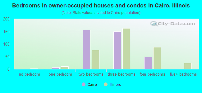 Bedrooms in owner-occupied houses and condos in Cairo, Illinois