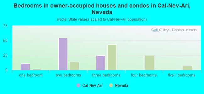 Bedrooms in owner-occupied houses and condos in Cal-Nev-Ari, Nevada