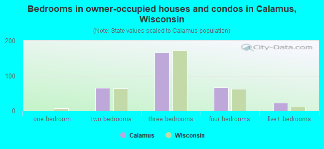 Bedrooms in owner-occupied houses and condos in Calamus, Wisconsin