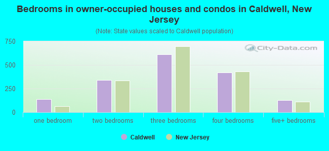 Bedrooms in owner-occupied houses and condos in Caldwell, New Jersey