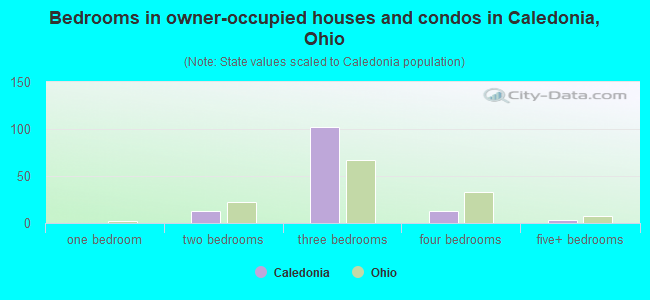 Bedrooms in owner-occupied houses and condos in Caledonia, Ohio