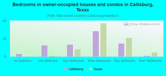Bedrooms in owner-occupied houses and condos in Callisburg, Texas