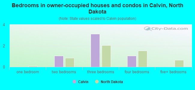 Bedrooms in owner-occupied houses and condos in Calvin, North Dakota
