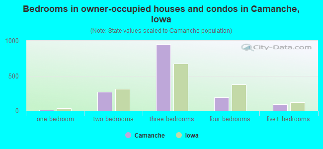 Bedrooms in owner-occupied houses and condos in Camanche, Iowa