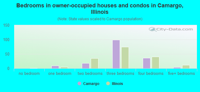 Bedrooms in owner-occupied houses and condos in Camargo, Illinois