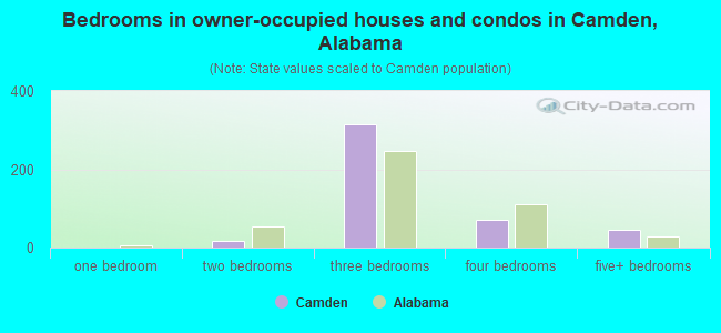 Bedrooms in owner-occupied houses and condos in Camden, Alabama