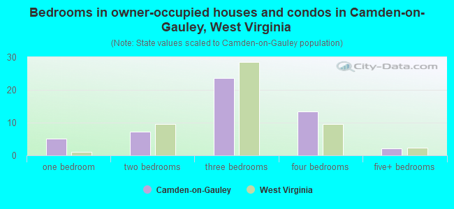 Bedrooms in owner-occupied houses and condos in Camden-on-Gauley, West Virginia