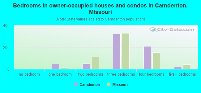 Bedrooms in owner-occupied houses and condos in Camdenton, Missouri