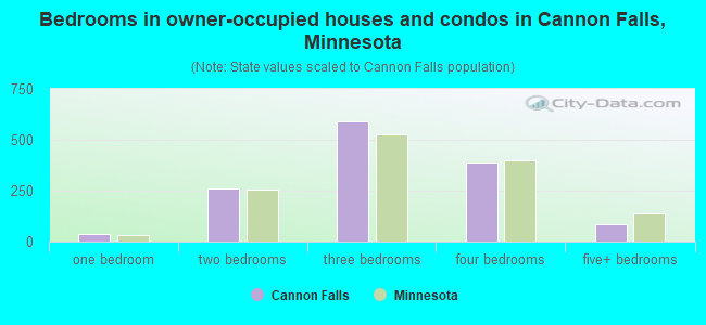 Bedrooms in owner-occupied houses and condos in Cannon Falls, Minnesota