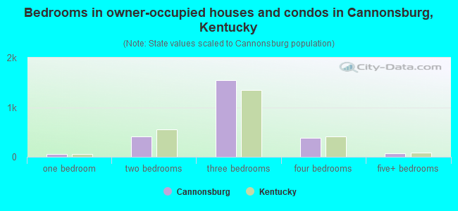 Bedrooms in owner-occupied houses and condos in Cannonsburg, Kentucky
