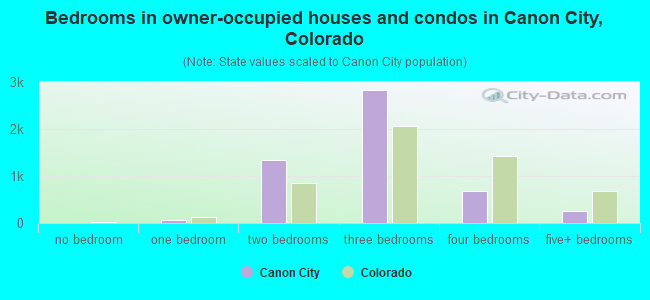 Bedrooms in owner-occupied houses and condos in Canon City, Colorado