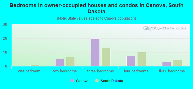 Bedrooms in owner-occupied houses and condos in Canova, South Dakota