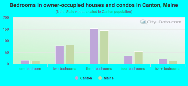 Bedrooms in owner-occupied houses and condos in Canton, Maine