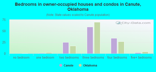Bedrooms in owner-occupied houses and condos in Canute, Oklahoma