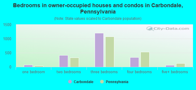Bedrooms in owner-occupied houses and condos in Carbondale, Pennsylvania